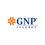 GNP